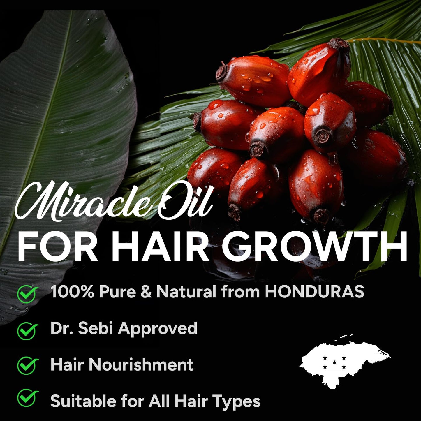 Batana Oil for Hair Growth: Fractionated Batana Oil from Honduras - Hair Treatment Oil for Hair Thickening and Growth